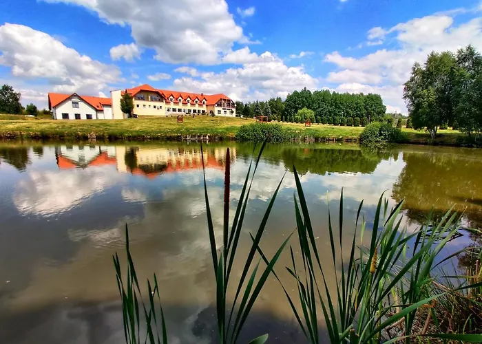 Klodawskie Wzgorze * 클로다바